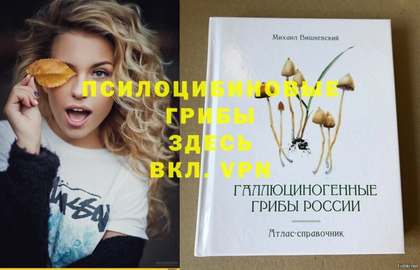 Альфа ПВП Беломорск