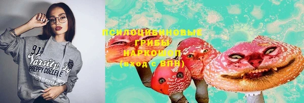 хмурый Богданович