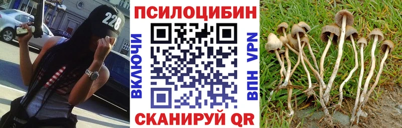 Галлюциногенные грибы Magic Shrooms  Богородицк 