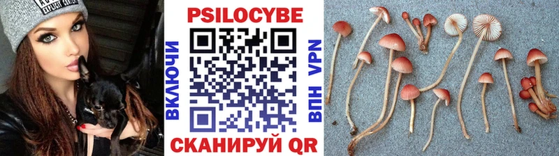 Галлюциногенные грибы MAGIC MUSHROOMS Богородицк