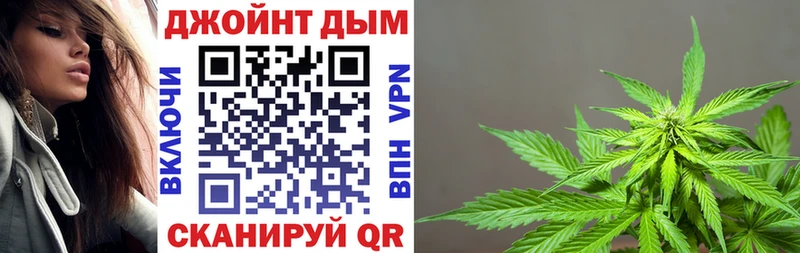 Бошки марихуана конопля  цена   Богородицк 